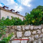 First line villa for sale in Kotor