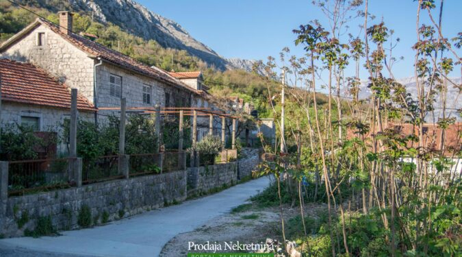 Nekretnine Kotor