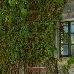 Land for sale in Tivat