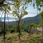 Land for sale in Tivat