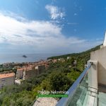 Duplex apartment for sale in Petrovac