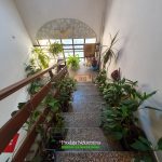 Studio na Starom Aerodromu