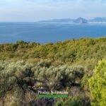 Sea view land for sale in Budva