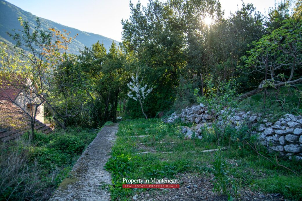 Old stone house for sale in Kotor