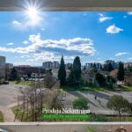 Prodaja nekretnina kod Gintasa