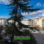Prodaja nekretnina kod Gintasa