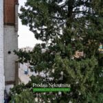 Prodaje se trosoban stan kod Gintasa