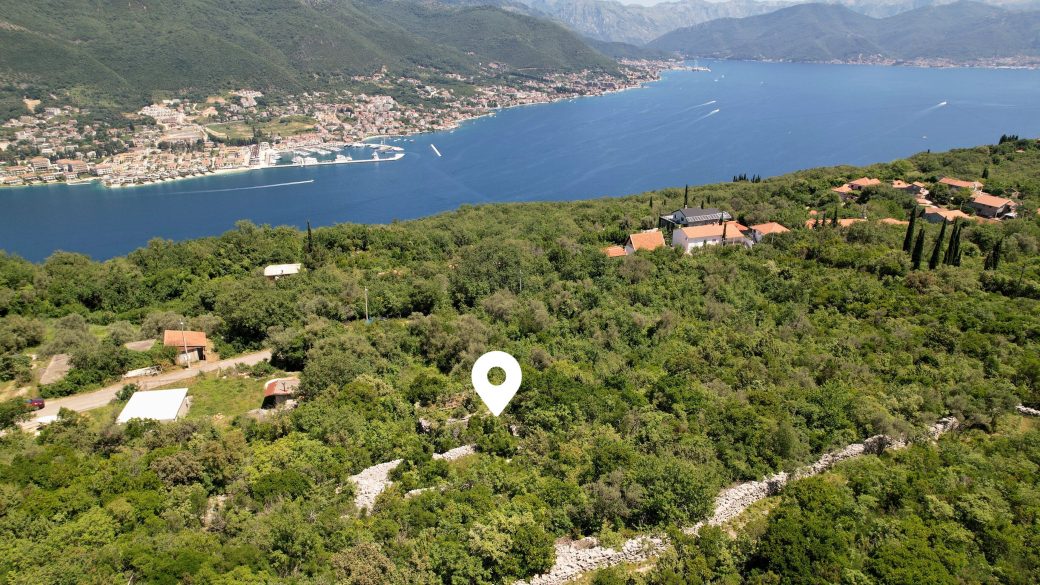 DJI_0139_optimized_2000