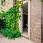 tivat-lustica-bay-apartment-one-bedroom-56-sqm-garden-31-sqm-montenegro-for-sale-A-02667 (4)