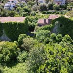 compressed_DJI_0121