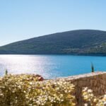 tivat-lustica-bay-apartment-one-bedroom-71-sqm-montenegro-for-sale-A-03005 (16)