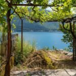 kotor-drazin-vrt-stone-houses-62-sqm-56-sqm-land-plot-1938-sqm-montenegro-for-sale-H-03049 (16)