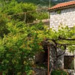 kotor-drazin-vrt-stone-houses-62-sqm-56-sqm-land-plot-1938-sqm-montenegro-for-sale-H-03049 (18)