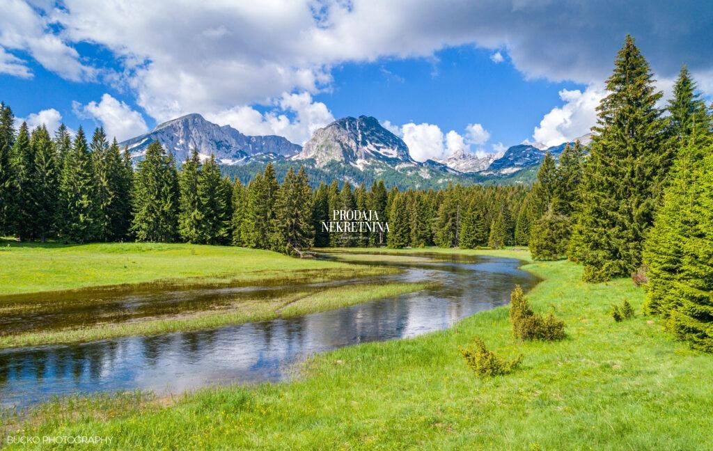 prelijep pejzaž planinske rijeke, sa zelenom travom okolo i planinama u pozadini