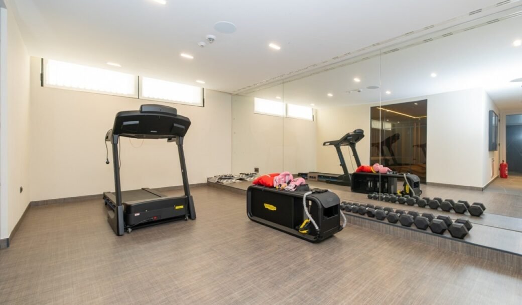 podgorica-zabjelo-villa-500-sqm-land-plot-1057-sqm-montenegro-for-sale-V-02776 (17)