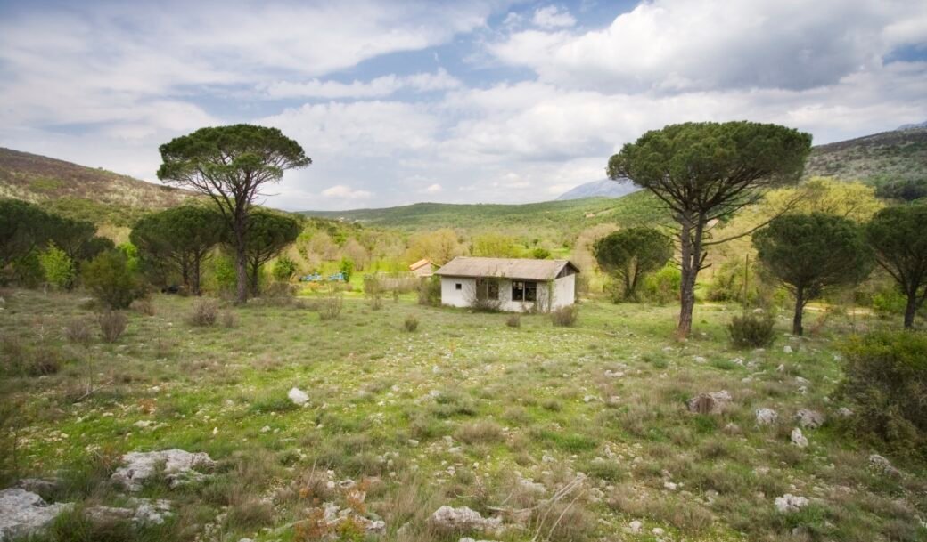 kotor-donji-grbalj-glavati-land-plot-montenegro-for-sale-P-03159 (12)