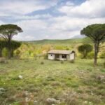 kotor-donji-grbalj-glavati-land-plot-montenegro-for-sale-P-03159 (12)