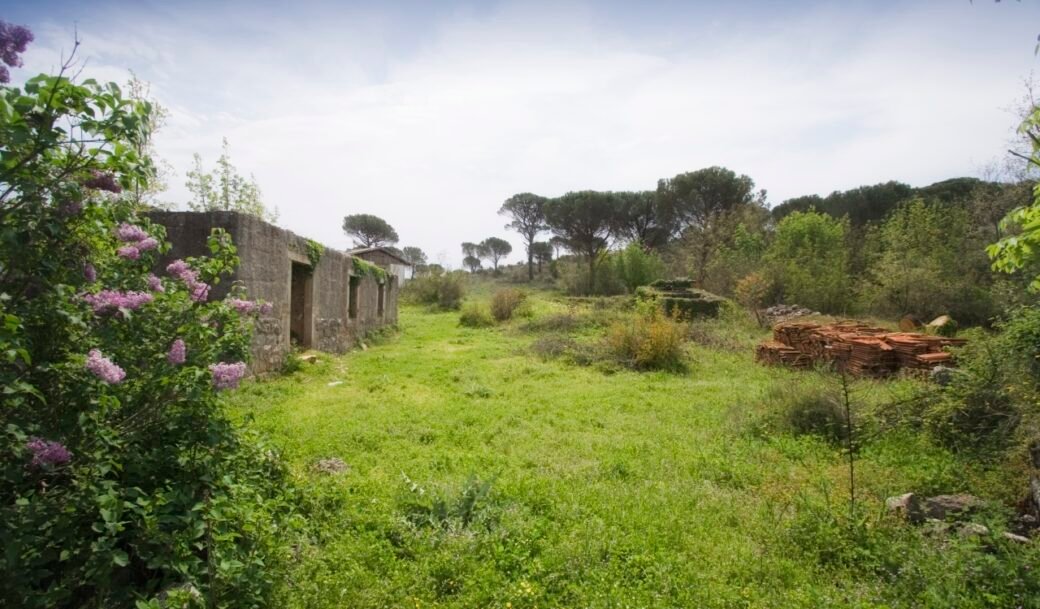 kotor-donji-grbalj-glavati-land-plot-montenegro-for-sale-P-03159 (13)