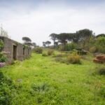 kotor-donji-grbalj-glavati-land-plot-montenegro-for-sale-P-03159 (13)