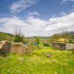 kotor-donji-grbalj-glavati-land-plot-montenegro-for-sale-P-03159 (14)