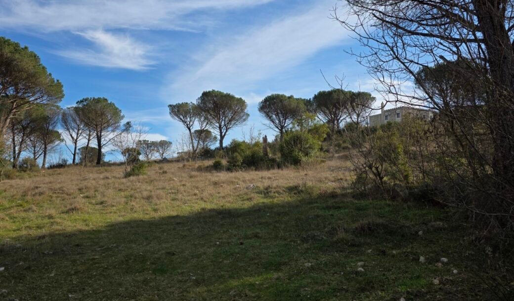kotor-donji-grbalj-glavati-land-plot-montenegro-for-sale-P-03159 (2)