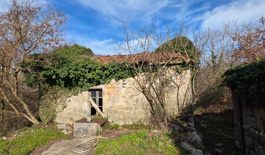 kotor-donji-grbalj-glavati-land-plot-montenegro-for-sale-P-03159 (3)