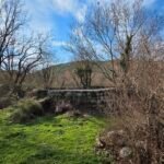 kotor-donji-grbalj-glavati-land-plot-montenegro-for-sale-P-03159 (4)