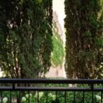 tivat-lustica-apartment-studio-37-sqm-gqrden-22-sqm-montenegro-for-sale-A-03212 (12)