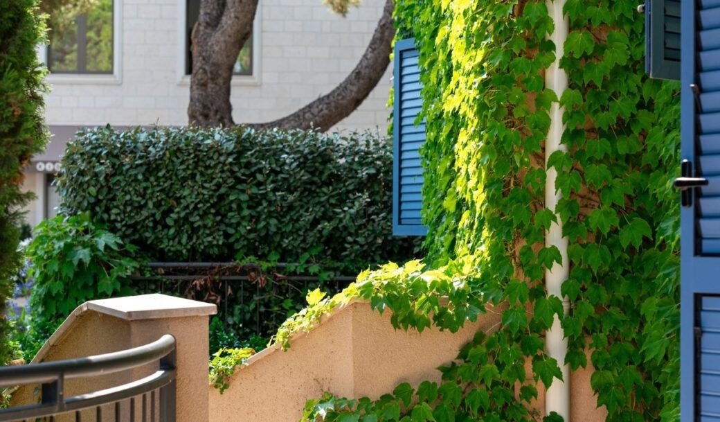 tivat-lustica-apartment-studio-37-sqm-gqrden-22-sqm-montenegro-for-sale-A-03212 (15)