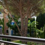 Lustica 1 bed 10